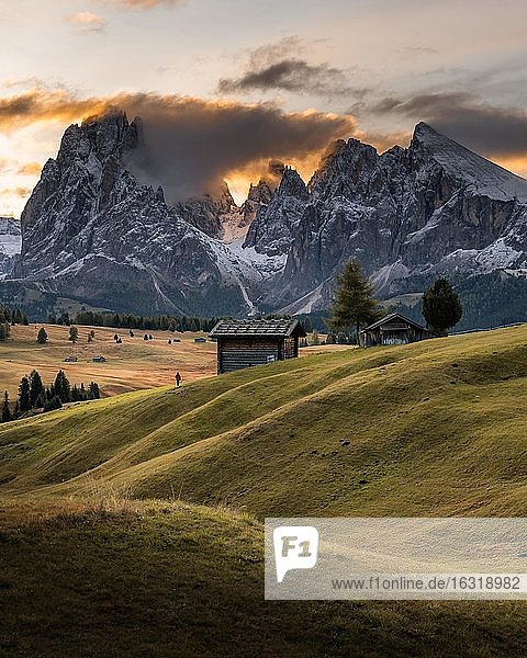 Sunrise  Hiker  Alpine meadows with huts and trees  Alpe di Siusi  Kompatsch  South Tyrol  Italy  Europe