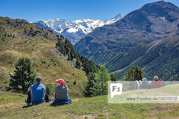 Urlauber auf der Alp Languard mit Piz Palü und Bellavista über dem Berninatal  Pontresina  Berninaalpen  Oberengadin  Engadin  Graubünden  Schweiz  Europa