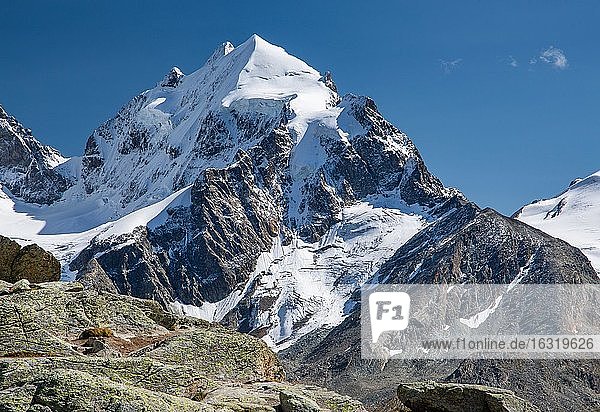 Fuorcla Surlej mit Piz Roseg  Silvaplana  Berninaalpen  Oberengadin  Engadin  Graubünden  Schweiz  Europa