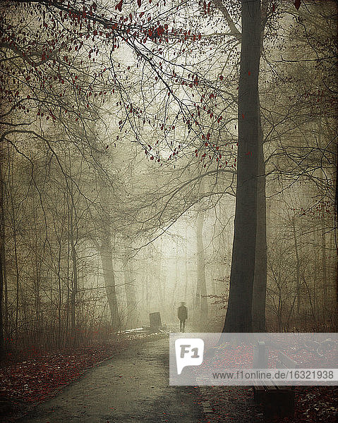 Deutschland  Silhouette eines Mannes  der im Winterwald spazieren geht