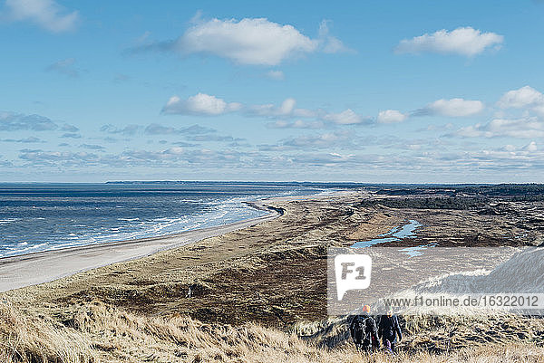 Denmark  North Jutland  dune landscape at Bulbjerg