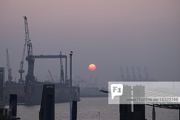 Deutschland  Hamburg  Sonnenuntergang am Containerhafen