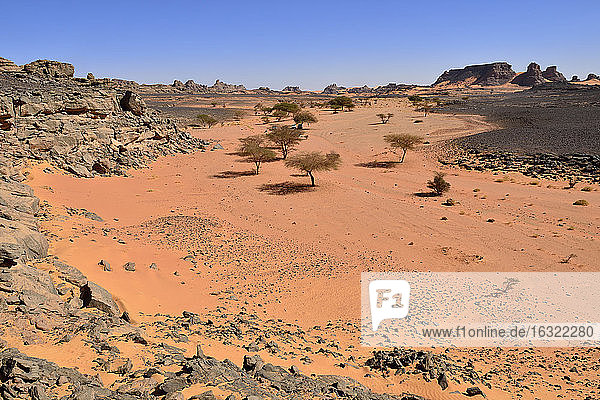 Algerien  Sahara  Tassili N'Ajjer National Park  Tadrart Region  Felsental