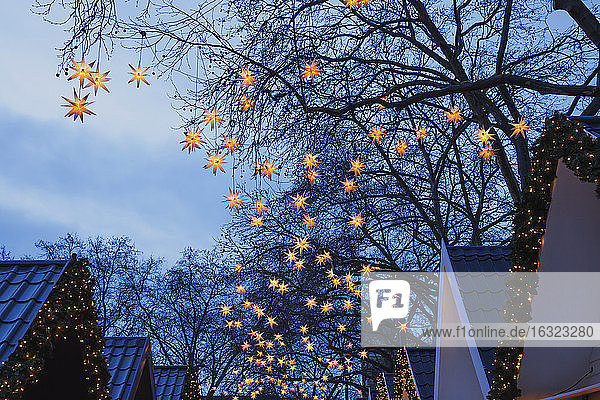 Deutschland  Weihnachtsmarkt mit beleuchteten Weihnachtssternen an den Bäumen
