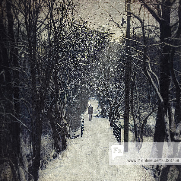 Germany, near Wuppertal, man walking on forest path in winter, textured effect