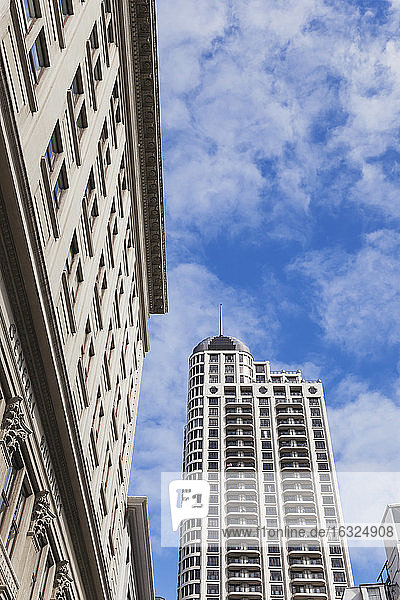 Neuseeland  Auckland  Blick auf das Metropolis-Gebäude