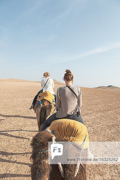 Marokko  Frauen reiten auf Kamelen in der Wüste