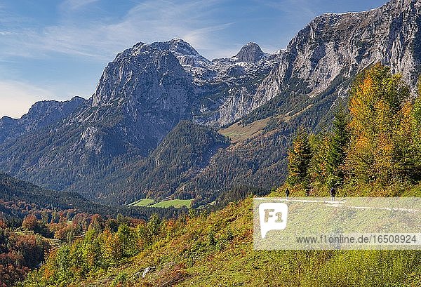 Brine pipeline trail with Reiteralpe  Ramsau  Berchtesgaden Alps  Berchtesgadener Land  Upper Bavaria  Bavaria  Germany  Europe