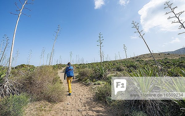 Junger Mann auf Weg durch Agaven  Playa de Los Genoveses  Nationalpark Cabo de Gata-Nijar  Almería  Spanien  Europa
