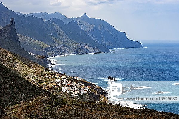 Küstenstraße mit Steilküste bei der Ortschaft Almáciga  Anaga Gebirge  Teneriffa  Kanarische Insel  Spanien  Europa