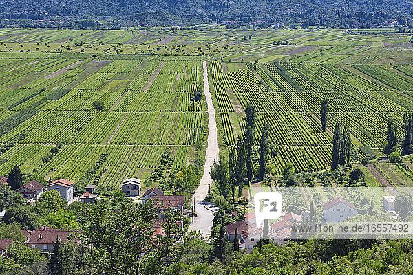 in der Nähe von Staseviki  Dalmatien  Kroatien. Landwirtschaftliche Landschaft.