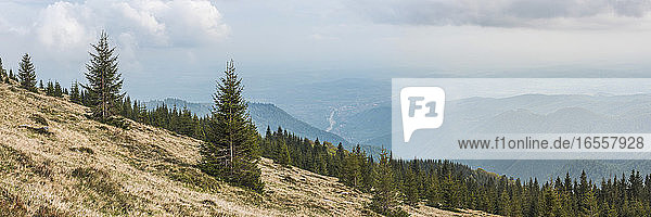 Neblige Landschaft in den Parang-Bergen bei Ranca  Karpaten  Region Oltenia  Rumänien