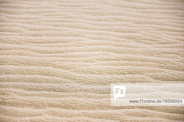 Detailaufnahme von Sand in den Te Paki Sanddünen  90 Mile Beach  Neuseeland