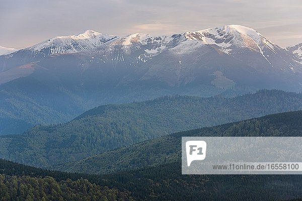 Karpaten bei Ranca bei Sonnenaufgang  Parang-Gebirge  Region Oltenia  Rumänien