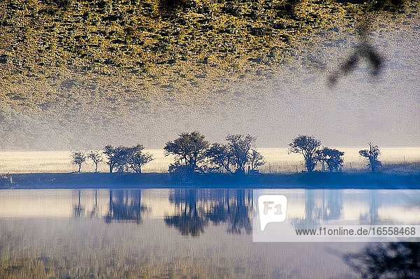 Neblige Morgendämmerung auf einem ruhigen Lake Moke  Queenstown  Südinsel  Neuseeland. Der Lake Moke  10 km von Queenstown entfernt  ist nicht nur ein wunderschöner See  sondern auch ein Campingplatz des Department of Conservation (DOC)  der sowohl für Wohnwagen als auch für Wohnmobile zugänglich ist. In den frühen Morgenstunden ist der Lake Moke oft vollkommen still und bietet perfekte Spiegelungen der umliegenden Hügel und Berge im Wasser. Die Kombination aus einer fabelhaften goldenen Stunde  wenn die Sonne über den Hügeln aufgeht  dem Morgennebel  der vom See aufsteigt  und den satt orangefarbenen Herbstbäumen machte diese Nacht auf dem Lake Moke Department of Conservation Campsite (DOC-Campingplatz) zu etwas ganz Besonderem.