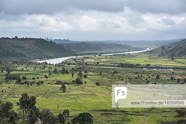 Reisfeldlandschaft in der Nähe von Antananarivo  Provinz Antananarivo  Ost-Madagaskar