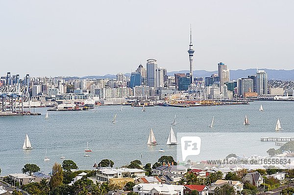 Segelboote im Waitemata-Hafen  Auckland  Nordinsel  Neuseeland. Auckland  im Hauraki-Golf der Nordinsel gelegen  ist die größte und bevölkerungsreichste Stadt Neuseelands. Es gibt viel zu tun in der Stadt und endlos schöne Landschaften auf den umliegenden Inseln und in der Umgebung von Auckland. Es ist leicht zu verstehen  warum Auckland für die meisten Menschen die erste Station auf einer Reise durch Neuseeland ist.