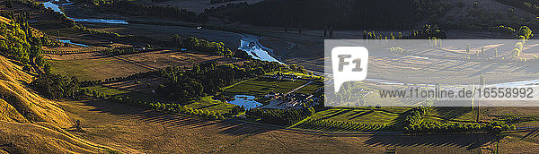 Weingut und Weinberg vom Te Mata Peak aus gesehen bei Sonnenaufgang  Region Hawkes Bay  Nordinsel  Neuseeland