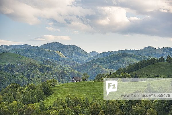 Rumänische Landschaft in den Karpaten in der Nähe von Schloss Bran bei Pestera  Siebenbürgen  Rumänien