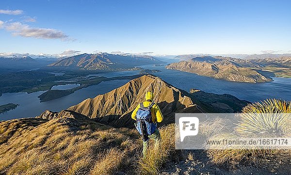 Hiker at the summit of Mount Roy  mountain and lake views  Roys Peak in the evening light  Lake Wanaka  Southern Alps  Otago  South Island  New Zealand  Oceania