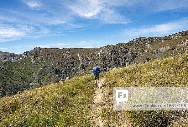 Hikers on trail  Grandview Mountain Track  Lake H?wea  Southern Alps  Otago  South Island  New Zealand  Oceania