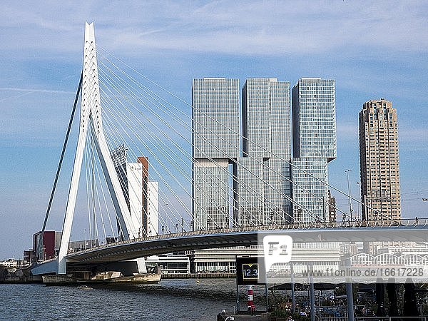 Erasmus Bridge  De Rotterdam building and De Monchyplein skyscraper  Rotterdam  Netherlands