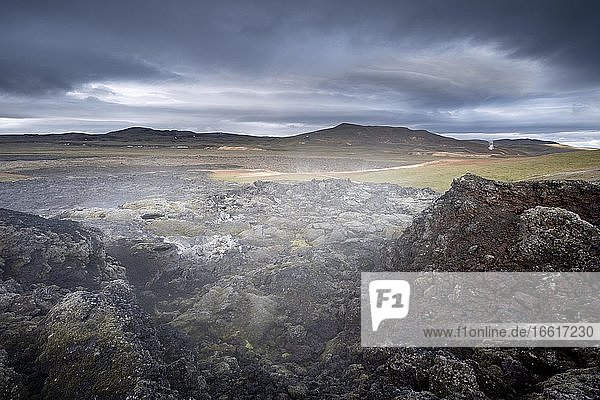 Schwarze erstarrte Lava in grüner Ebene mit Dampf  Leihrnjukur in der Krafla  Krafla Lavafeld  Skútustaðir  Norðurland eystra  Island  Europa
