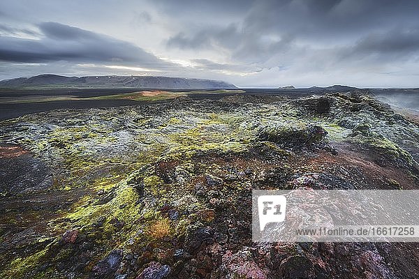 Krafla lava field  Skútustaðir  Norðurland eystra  Iceland  Europe