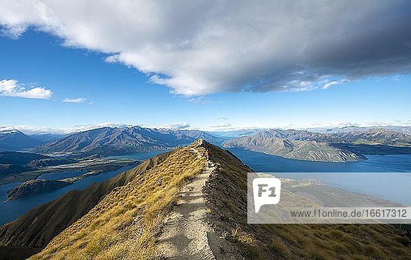 Wanderer auf einem Grat  Ausblick auf Berge und See vom Mount Roy  Roys Peak  Lake Wanaka  Südalpen  Otago  Südinsel  Neuseeland  Ozeanien
