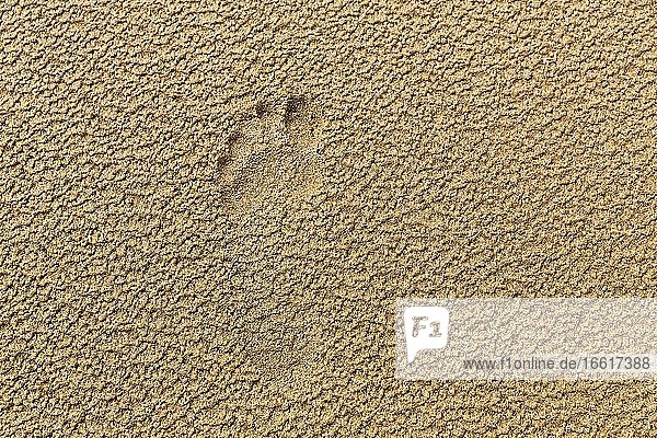 Fußabdruck im Sand  linker Fuß  Hintergrundbild  Vestfirðir  Westfjorde  Island  Europa