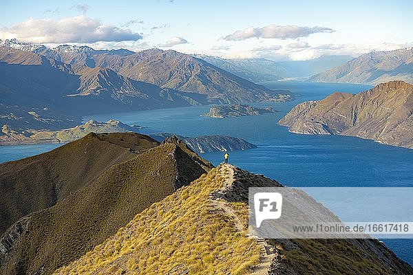 Wanderin auf dem Gipfel des Mount Roy  Ausblick auf Berge und See  Roys Peak  Lake Wanaka  Südalpen  Otago  Südinsel  Neuseeland  Ozeanien