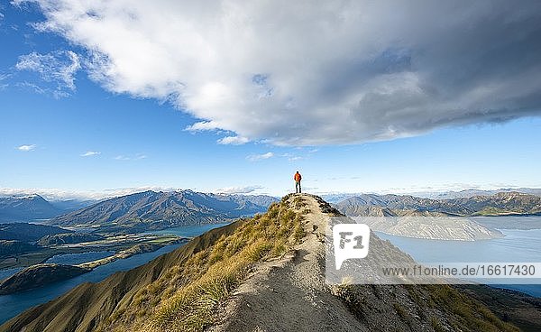 Hiker stands at the summit  view of mountains and lake from Mount Roy  Roys Peak  Lake Wanaka  Southern Alps  Otago  South Island  New Zealand  Oceania