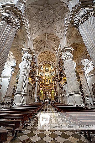 Cathedral  interior with white columns and golden chancel  ceiling decorated with stucco  Catedral de Granada  Granada  Andalusia