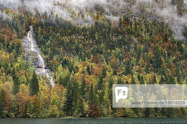 Königsbach-Wasserfall im Herbstl  Königssee  Nationalpark Berchtesgaden  Berchtesgadener Land  Bayern  Deutschland  Europa