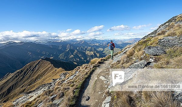 Hiker on the hiking trail to Ben Lomond  views of mountain ranges  Southern Alps  Otago  South Island  New Zealand  Oceania