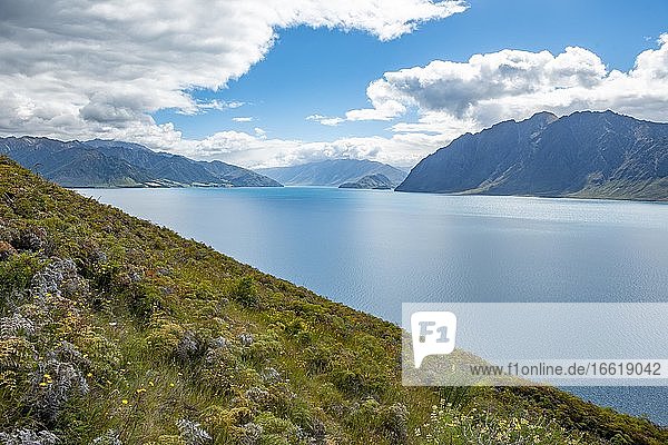 Ausblick auf See und Berge  Lake Wanaka  Südalpen  Otago  Südinsel  Neuseeland  Ozeanien