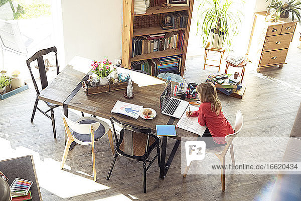 Girl studying on dining table at home