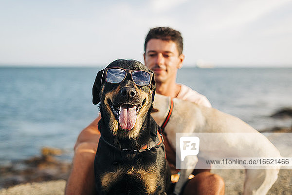 Hund mit Sonnenbrille streckt die Zunge heraus  während er mit einem Mann am Strand sitzt