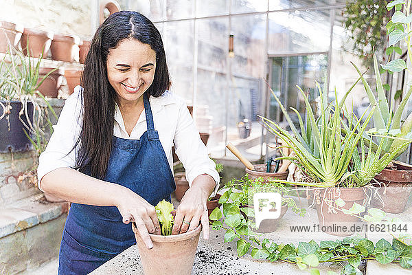 Frau lächelt beim Pflanzen von Pflanzen im Gartenhaus