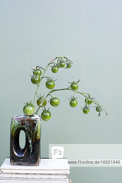 Grüne unreife Tomaten in einer Vase  die auf einem Bücherstapel steht