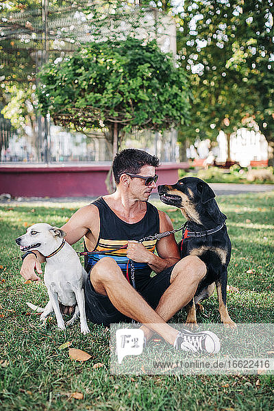 Hübscher Mann mit Hunden auf einer Wiese im Park sitzend