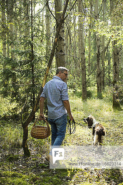 Mann geht mit seinem Hund im Wald spazieren