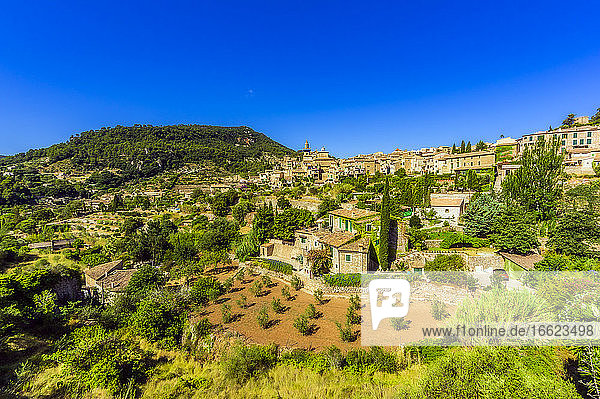 Gebäude und Bäume gegen klaren blauen Himmel an einem sonnigen Tag in Valldemossa  Mallorca  Spanien  Europa