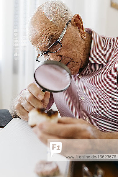 Elderly man examining minerals and fossils with magnifying glass while sitting at table