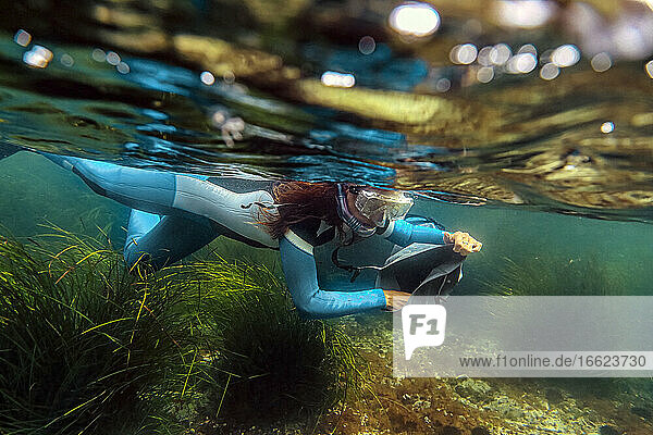 Mid adult woman collecting seafood in bag while diving into sea