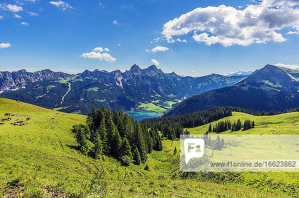 Österreich  Tirol  Grüne Landschaft des Tannheimer Tals im Sommer