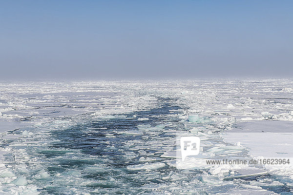 Gebrochenes Eis schwimmt im Arktischen Ozean