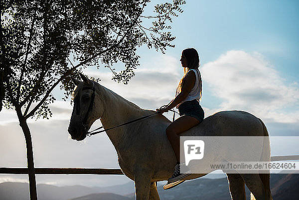 Junge Frau auf dem Pferderücken sitzend