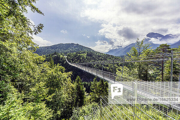 Österreich  Tirol  Reutte  Highline179  die sich im Sommer über ein bewaldetes Tal erstreckt