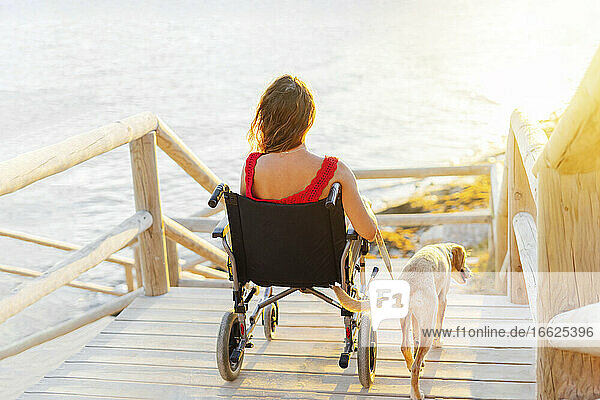Woman in wheelchair with dog on footpath at beach